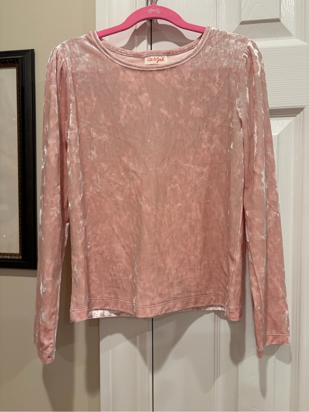 Cat & Jack Pink Crushed Velvet Long-Sleeve Top 💖